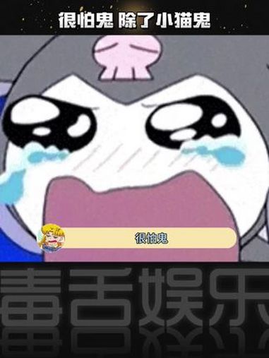 很怕鬼,但要是小猫鬼的话也不是不可以 小猫鬼 猫咪的迷惑行为 玄学 神奇动物在抖音