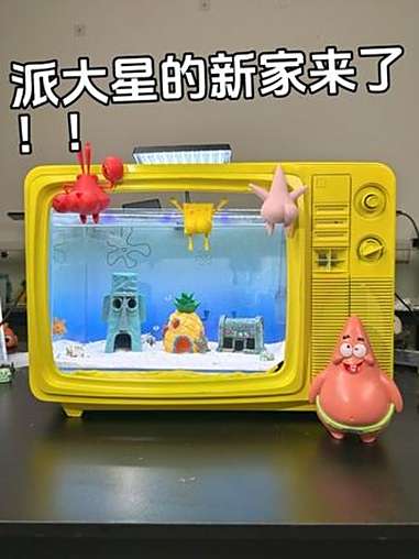 差点就失去派大星了……海绵宝宝 电视机鱼缸 南孚电池 南孚电池聚能环 南孚聚能环5代