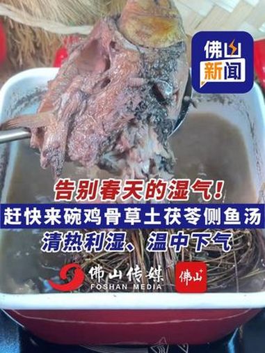 告别春天的湿气!赶快来碗鸡骨草土茯苓侧鱼汤,清热利湿、熬夜救星。(编辑:林晓华;责编:曾凝