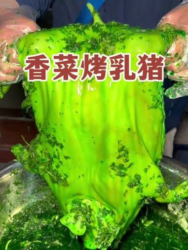爱吃香菜和不爱吃香菜的都沉默了!路边摊美味 街头美食 街边小吃 香菜烤乳猪 抖音美食推荐官