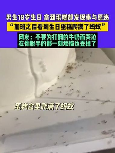 9月25日,广东,男生18岁生日 拿到蛋糕却发现事与愿违,“加班之后看到生日蛋糕爬满了蚂蚁