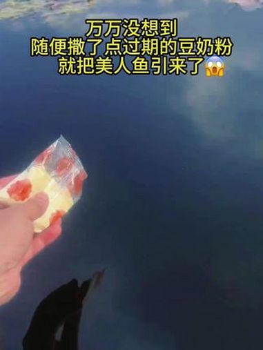好可爱的美人鱼 蛋仔派对 蛋仔派对创计划 蛋仔旅行家 美人鱼 蛋仔宝藏地图