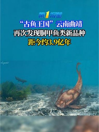 “古鱼王国”云南曲靖再次发现胴甲鱼类新品种,距今约3.9亿年 神奇动物在抖音 古鱼王国