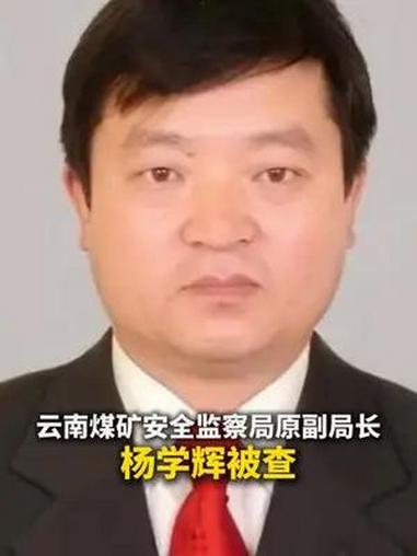 云南煤矿安全监察局原副局长杨学辉被查(来源:中央纪委国家监委网站 制作:杨羽 统筹编辑:李