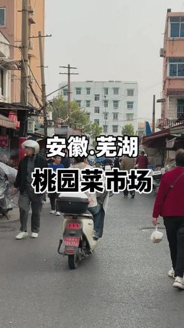 记录小城芜湖2025年11月秋天的桃园菜市场的街景 土豆拍芜湖 安徽芜湖