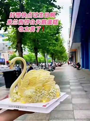 仪式感不能少 生日蛋糕 网红蛋糕 手工蛋糕 白天鹅蛋糕 米兰西饼生日蛋糕