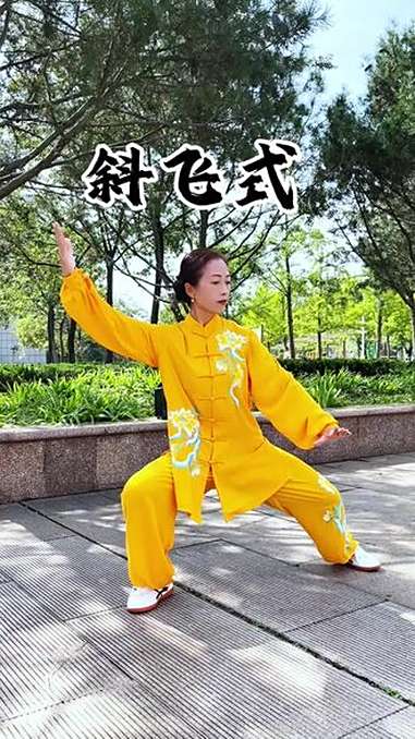 42式太极拳斜飞式 金鸡独立 太极拳 弘扬中华武术 42式太极拳 百young非遗计划