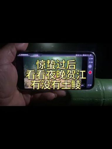 惊蛰过后,看看夜晚贺江有没有土鲮钓 晚上水底黑暗,用强光手电筒照着窝料就看的比较清楚了 野