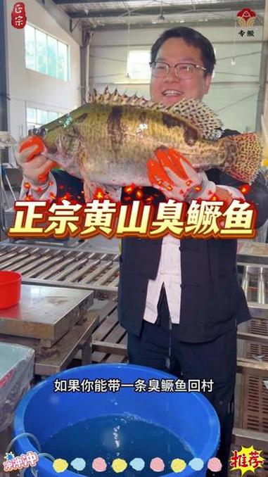 在安徽过年臭鳜鱼是压轴大菜，贵人吃鳜鱼，鳜鱼待贵客，年年有余，富贵有余#专鳜臭鳜鱼 #专鳜