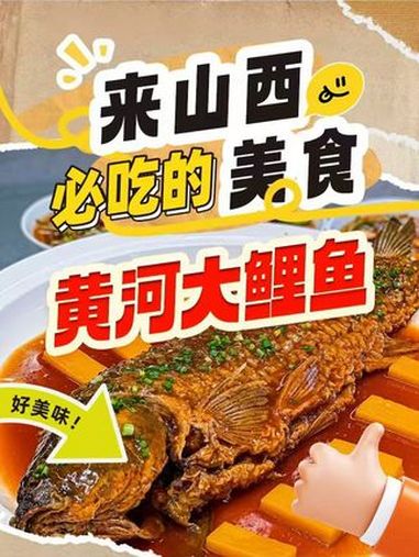黄河水流湍急,波涛汹涌,生活在其中的鲤鱼,被称为黄河大鲤鱼,自古以来就是我们的四大名鱼之一
