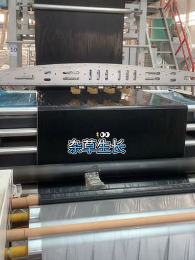 专业生产厂家 地膜 银黑双色地膜 反光驱虫防草 薄膜 农膜 黑地膜厂家