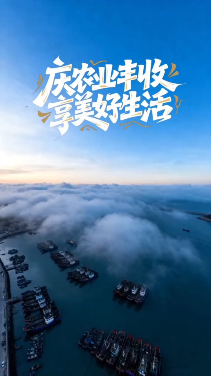 分享视频