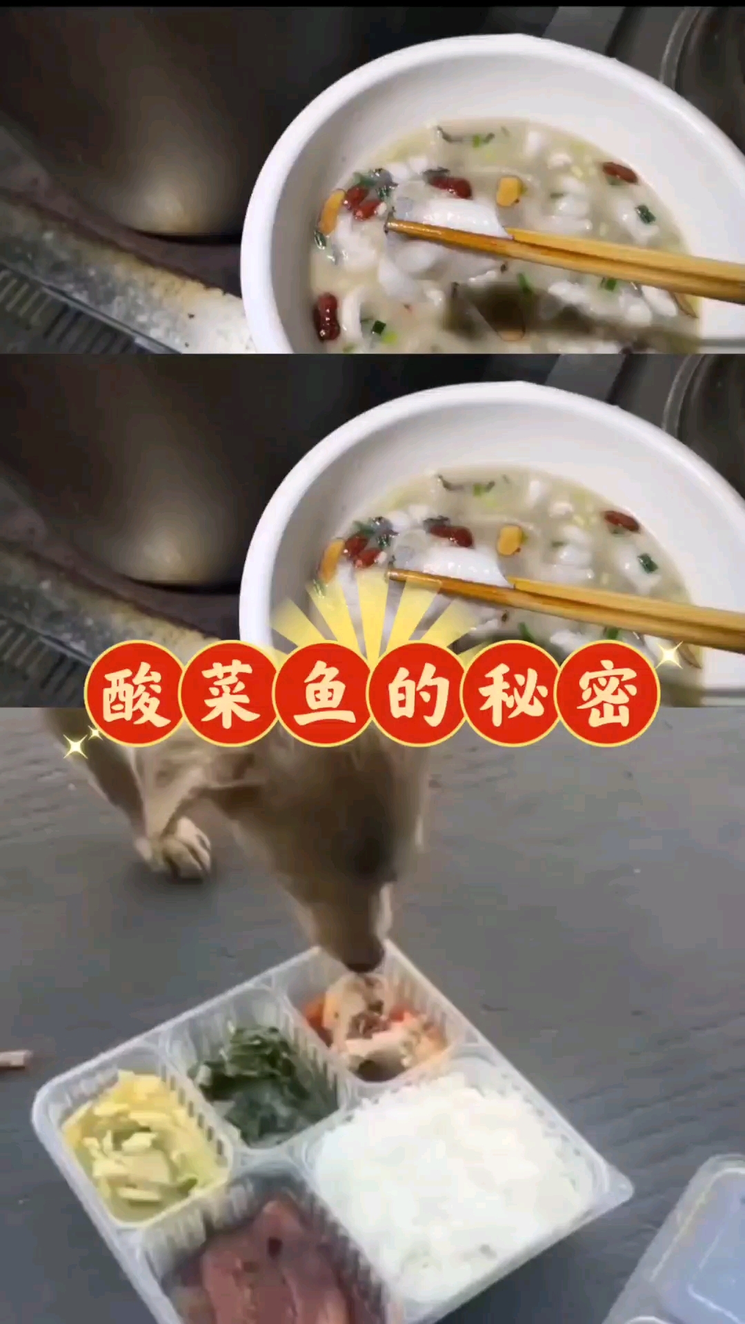 酸菜鱼的秘密#食品安全 #外卖 美食#外卖限重20公斤更安全