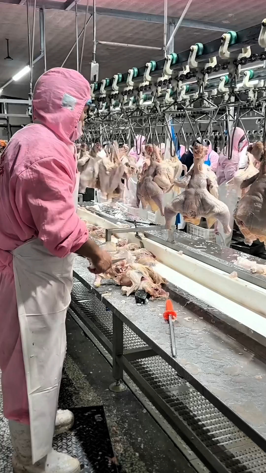 鸡肉分割流水线
