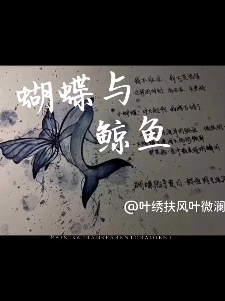 #蝴蝶与鲸鱼# 小蝴蝶，对不起呀，我就不动了