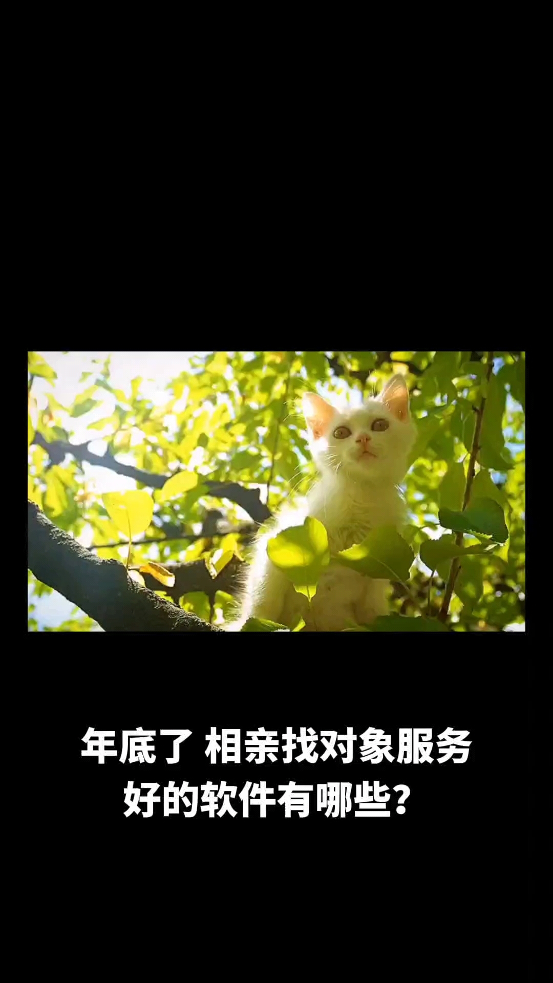 年底了,相亲找对象服务好的软件有哪些?#靠谱的相亲软件# 