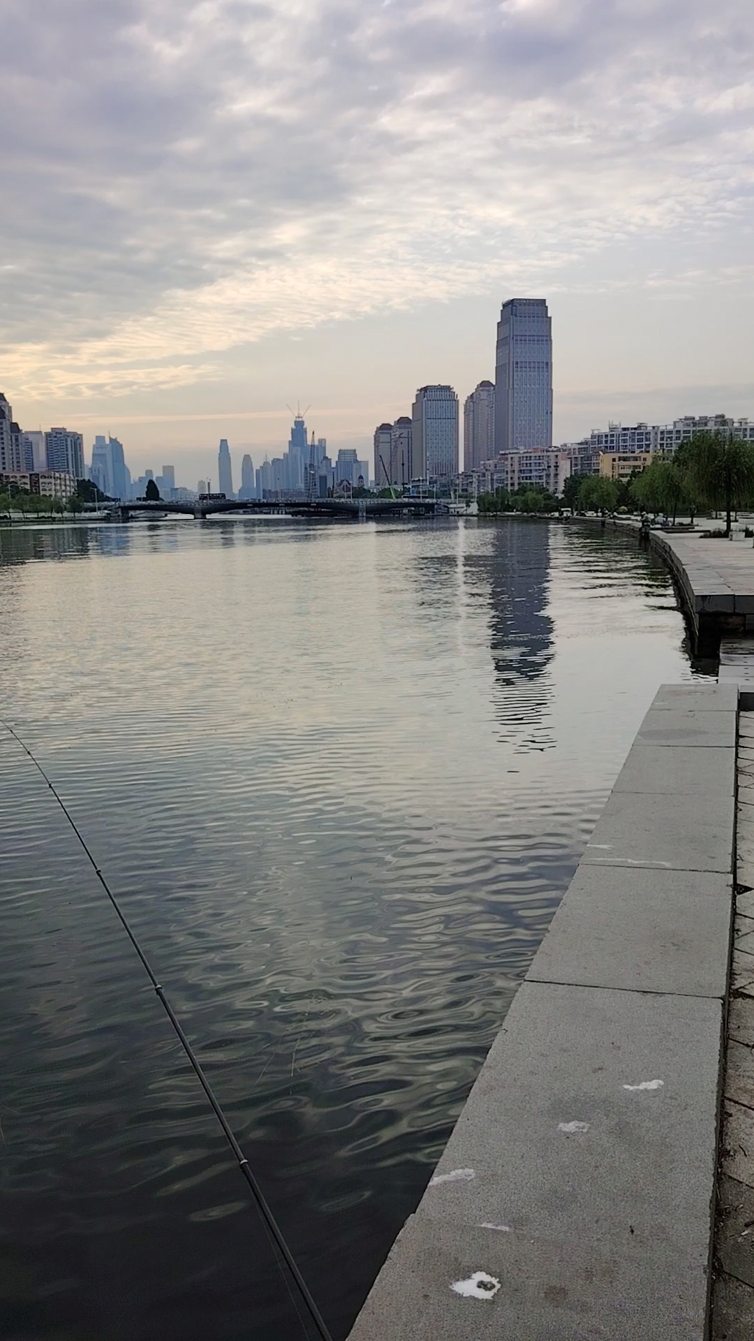 这大梭鱼,得有二斤!