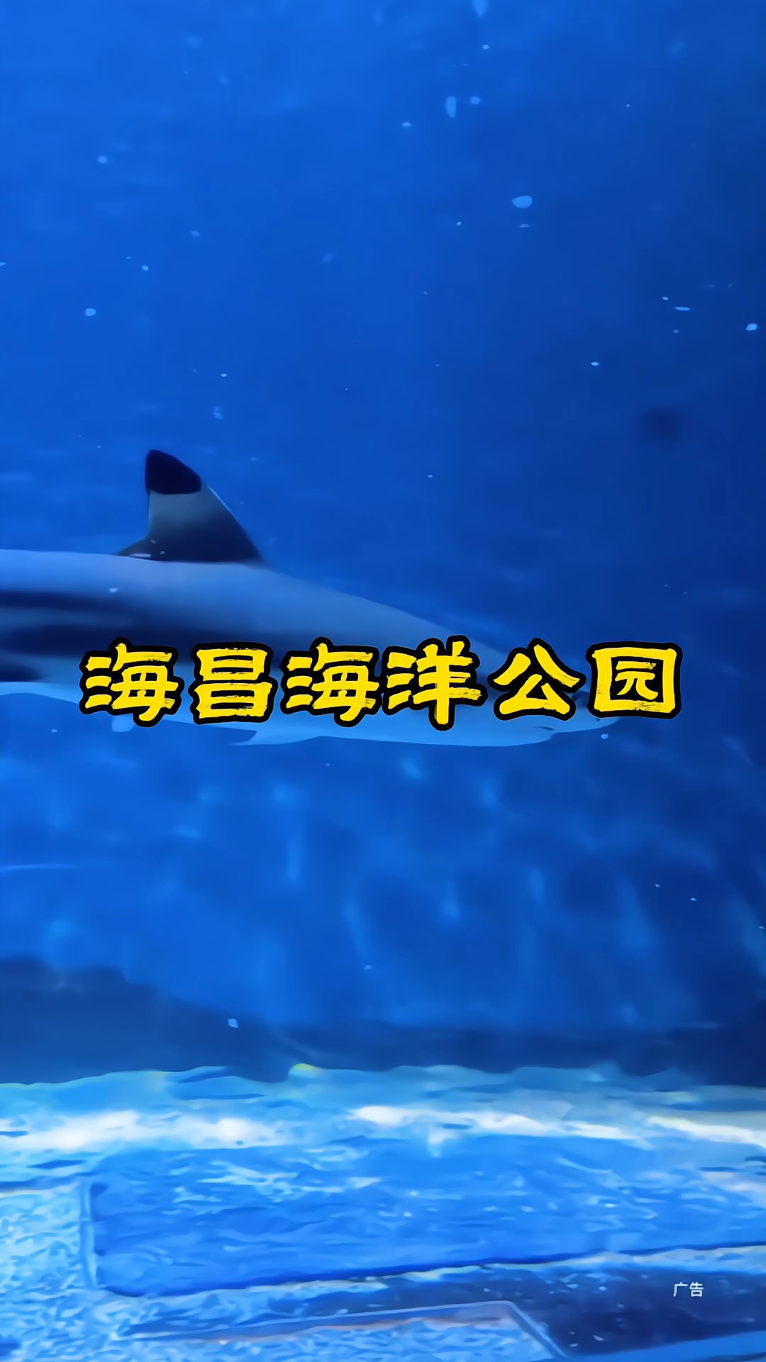 上海海昌海洋公园
