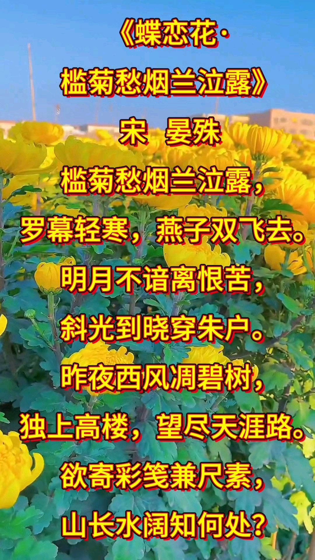 《蝶恋花·槛菊愁烟兰泣露》宋  晏殊