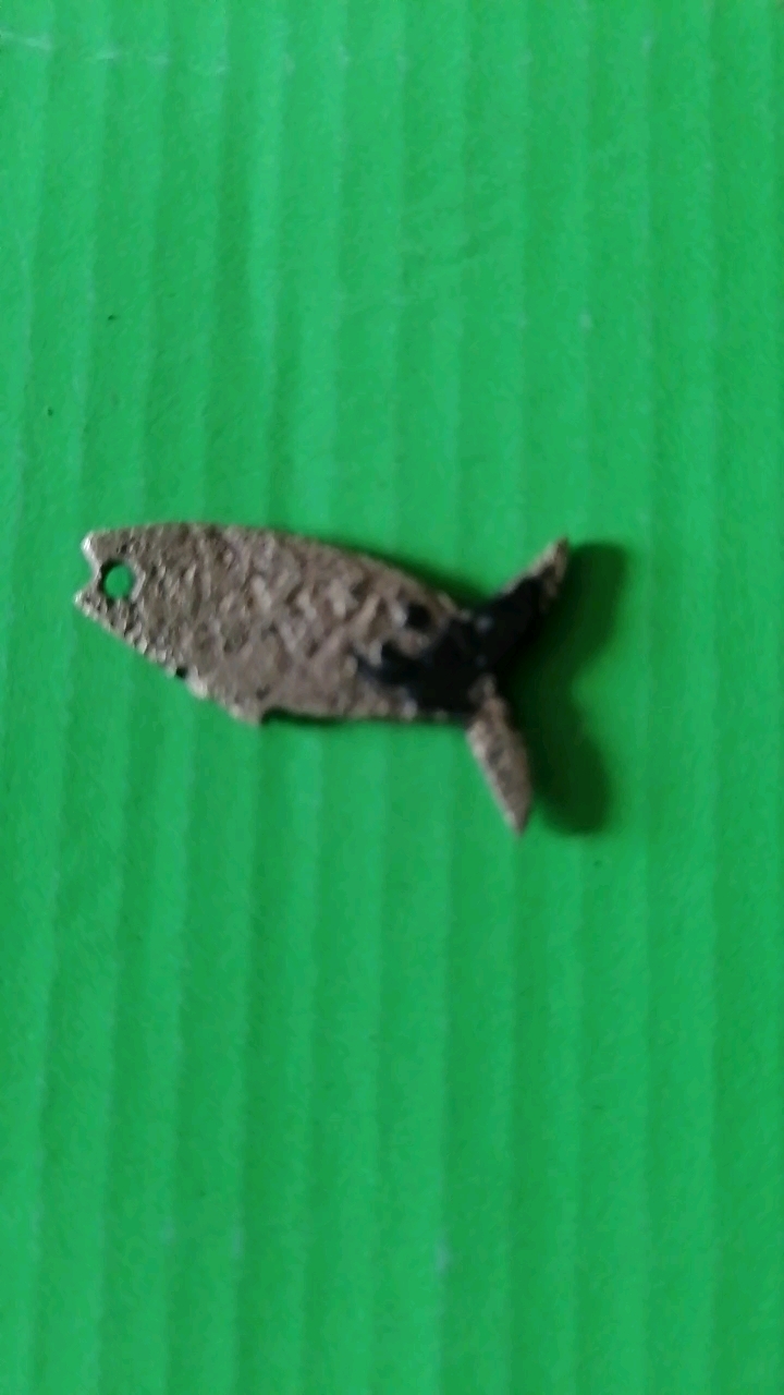 鱼币,在废品里发现一枚鱼币,你有吗,银质的。