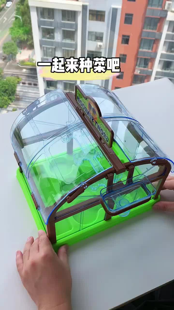 带上孩子来种菜吧亲手种植让孩子近距离观察植物生长过程体验种植