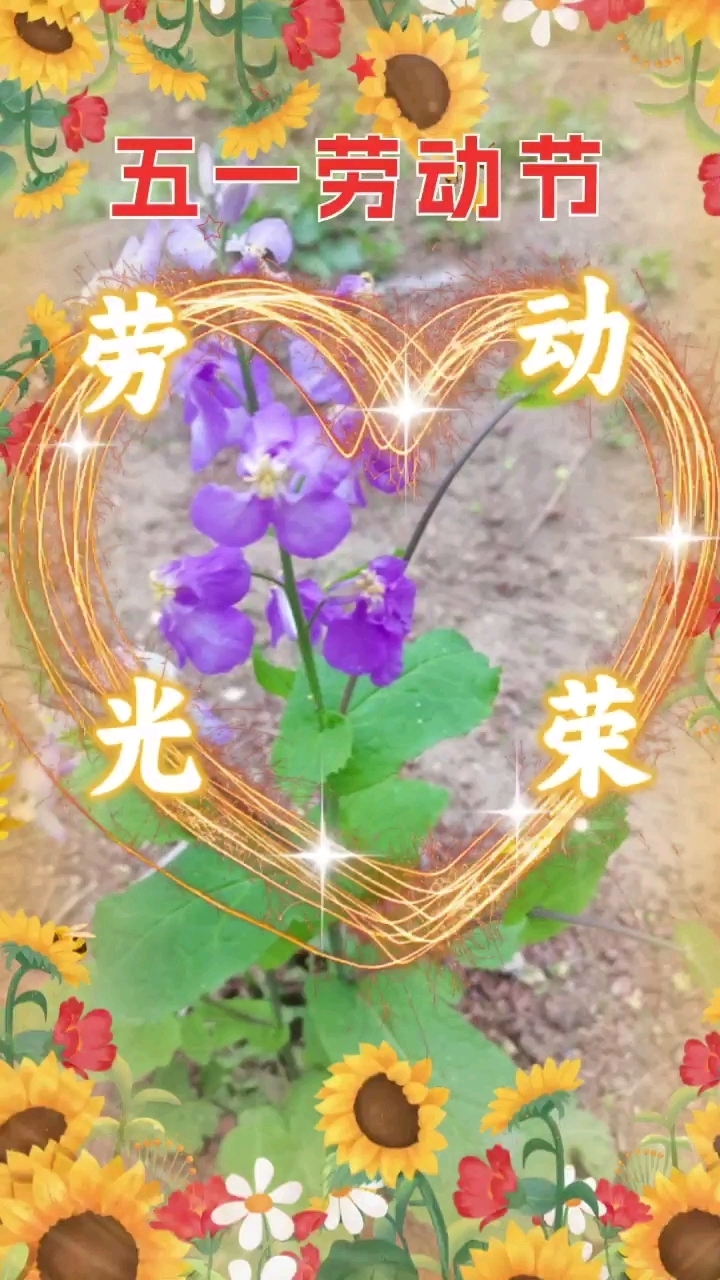 劳动节不打烊,我的劳动日记