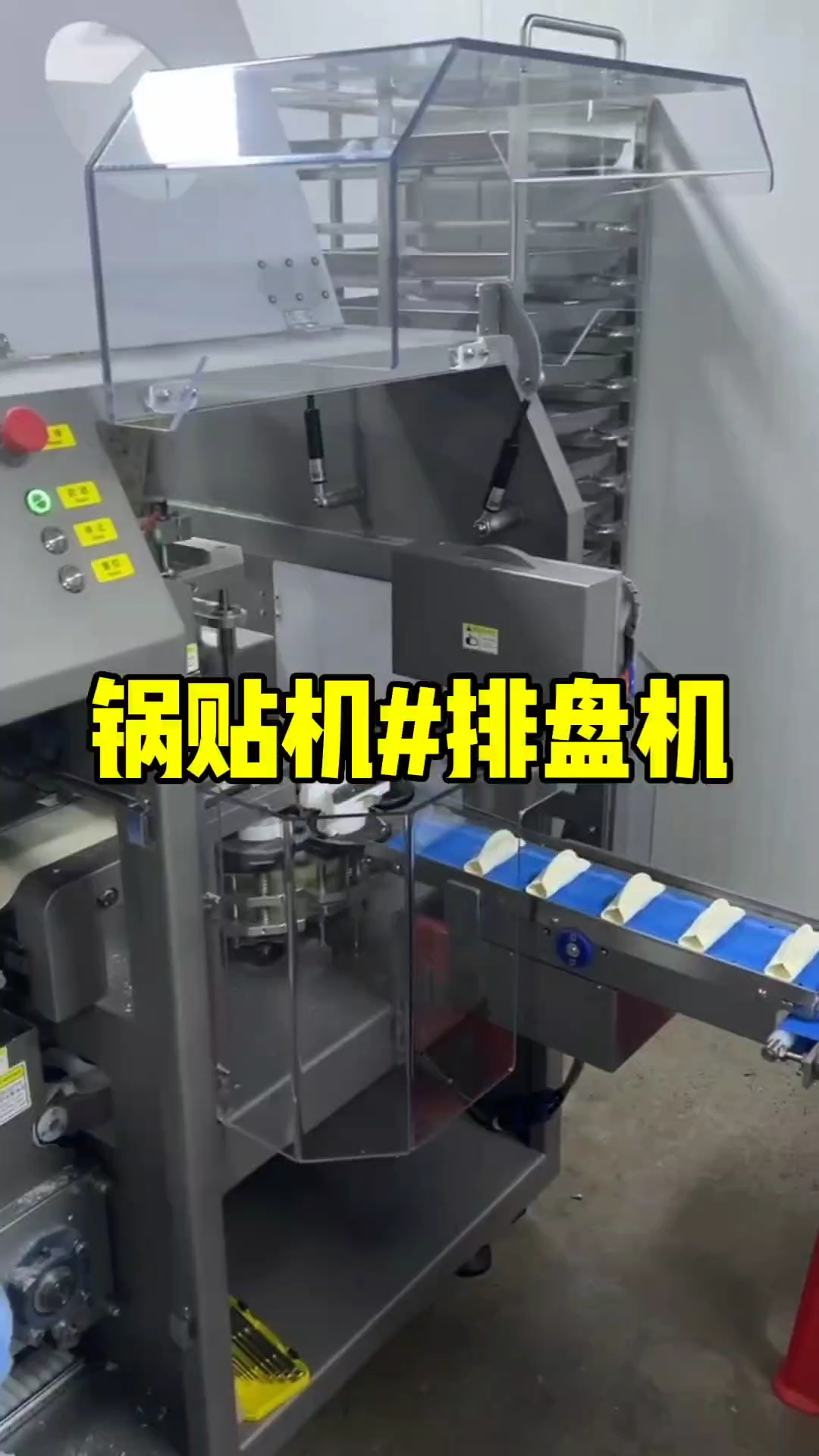 #全自动锅贴机客户定制的锅贴机+排盘机,已投入生产