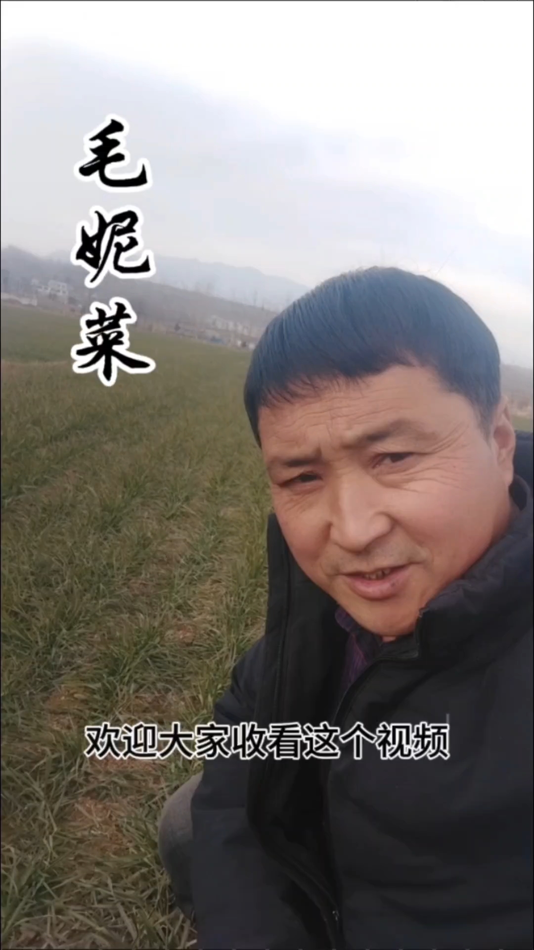 我们这里叫毛妮菜你们哪里叫啥什么?