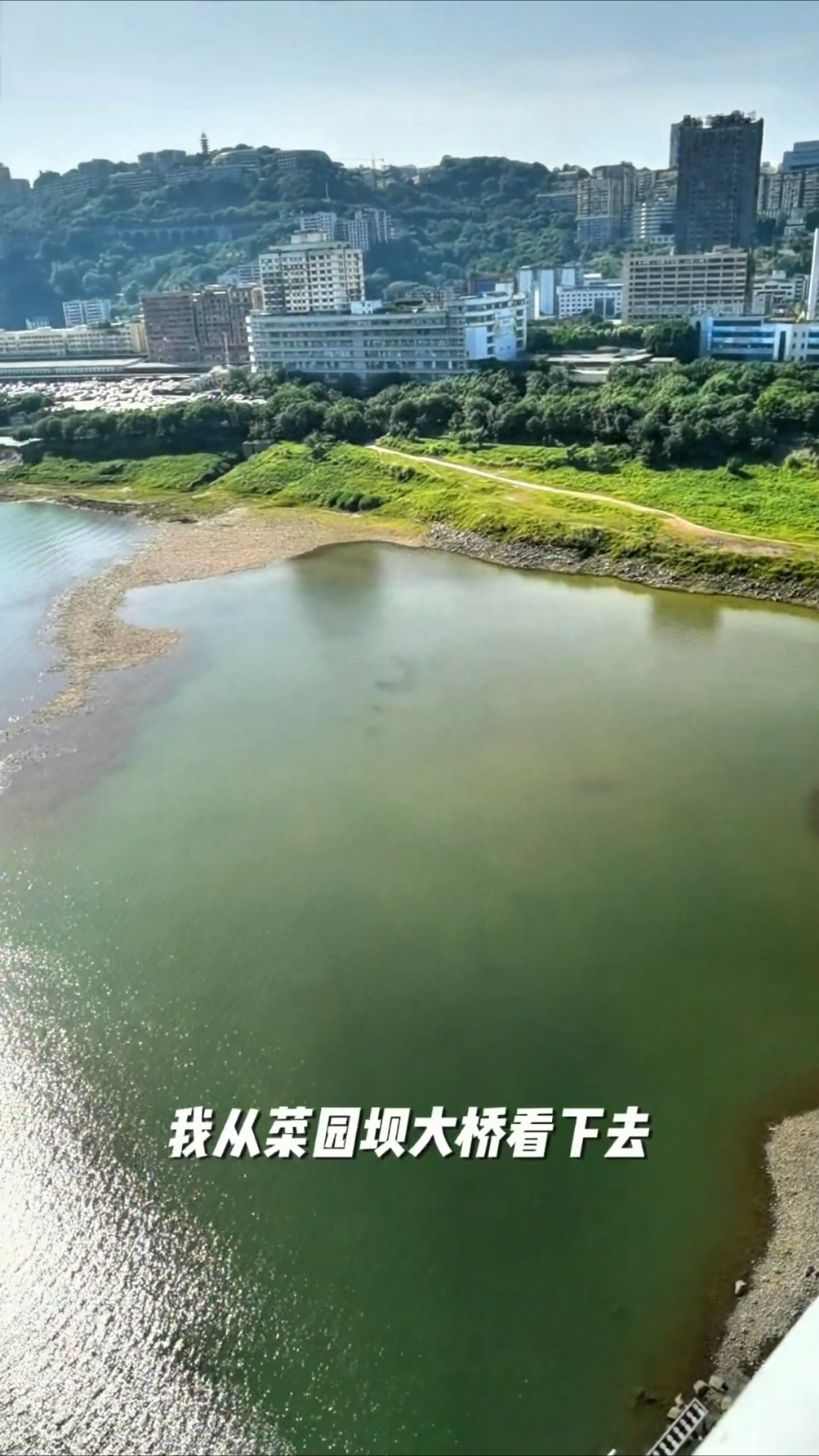 重庆长江把鱼圈起来养,天然大鱼塘就这么修成了