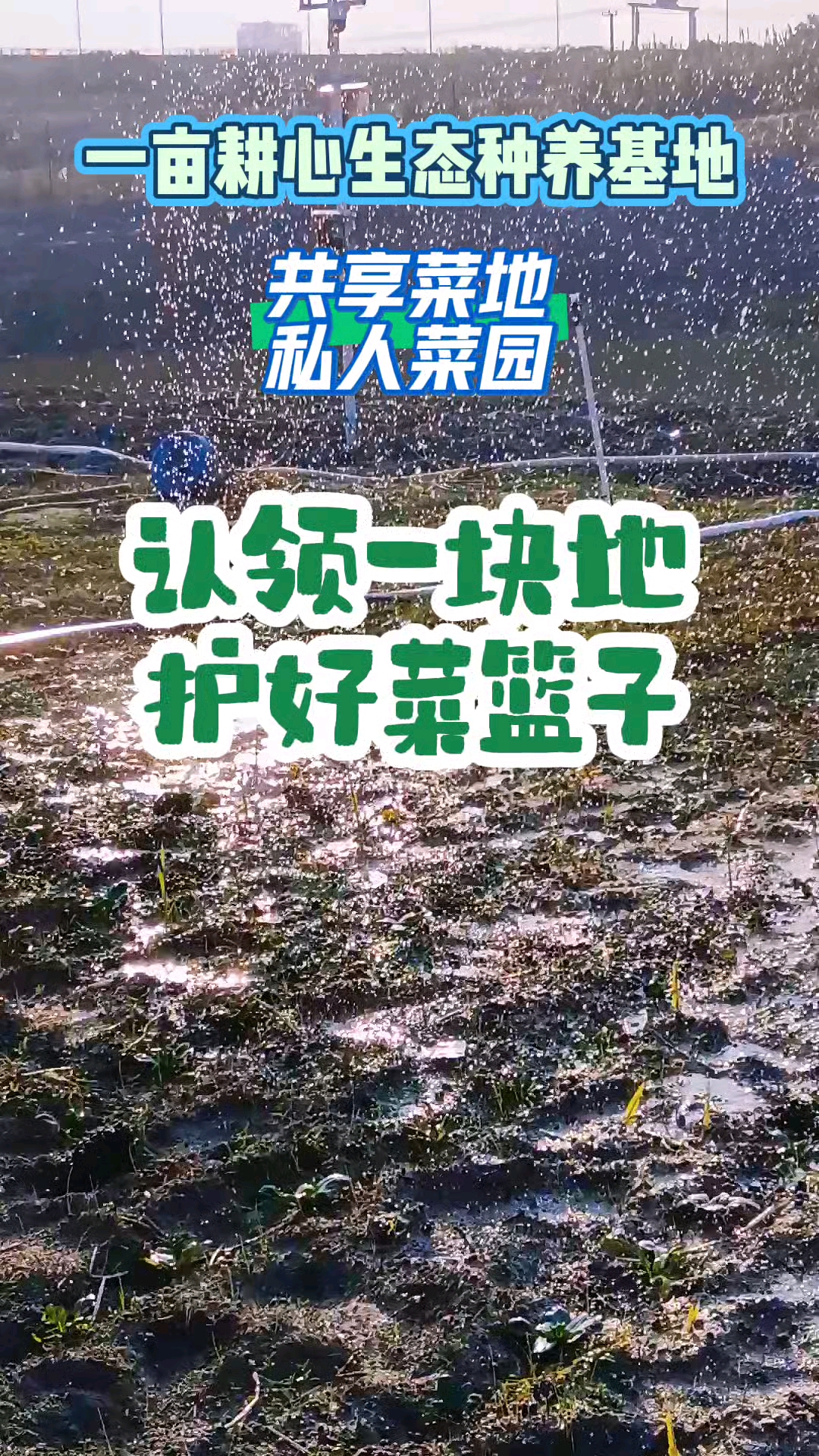 认领一块地，护好菜篮子，南通共享菜地，私家菜园