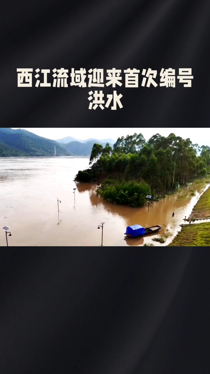 #洪水分流减灾