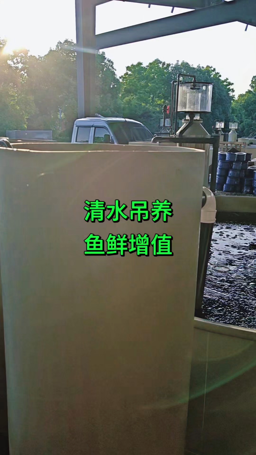 源渔宙分享陆基高位池高密度循环水养殖，清水鱼吊水鱼暂养瘦身鱼