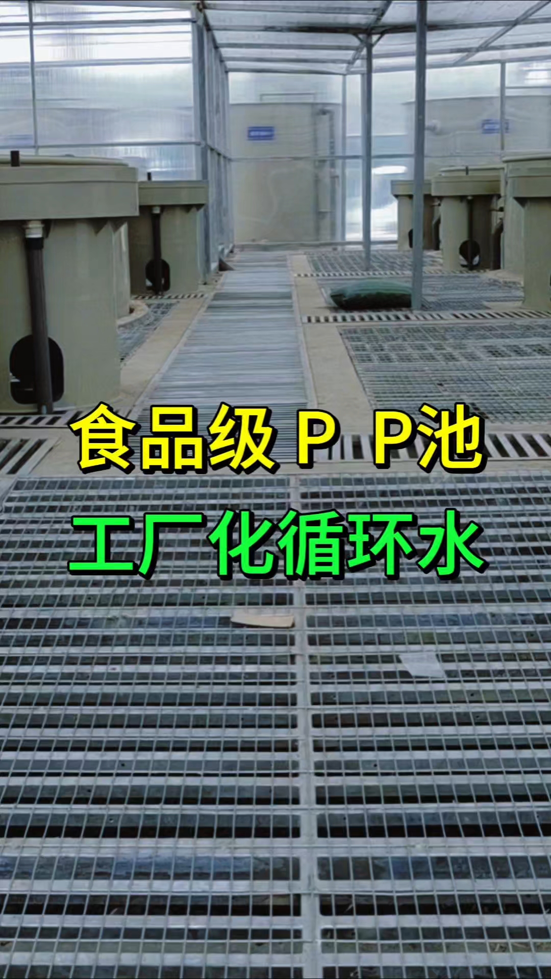 陆基工厂化高位池高密度循环水养殖鱼池选择PP材质的好处