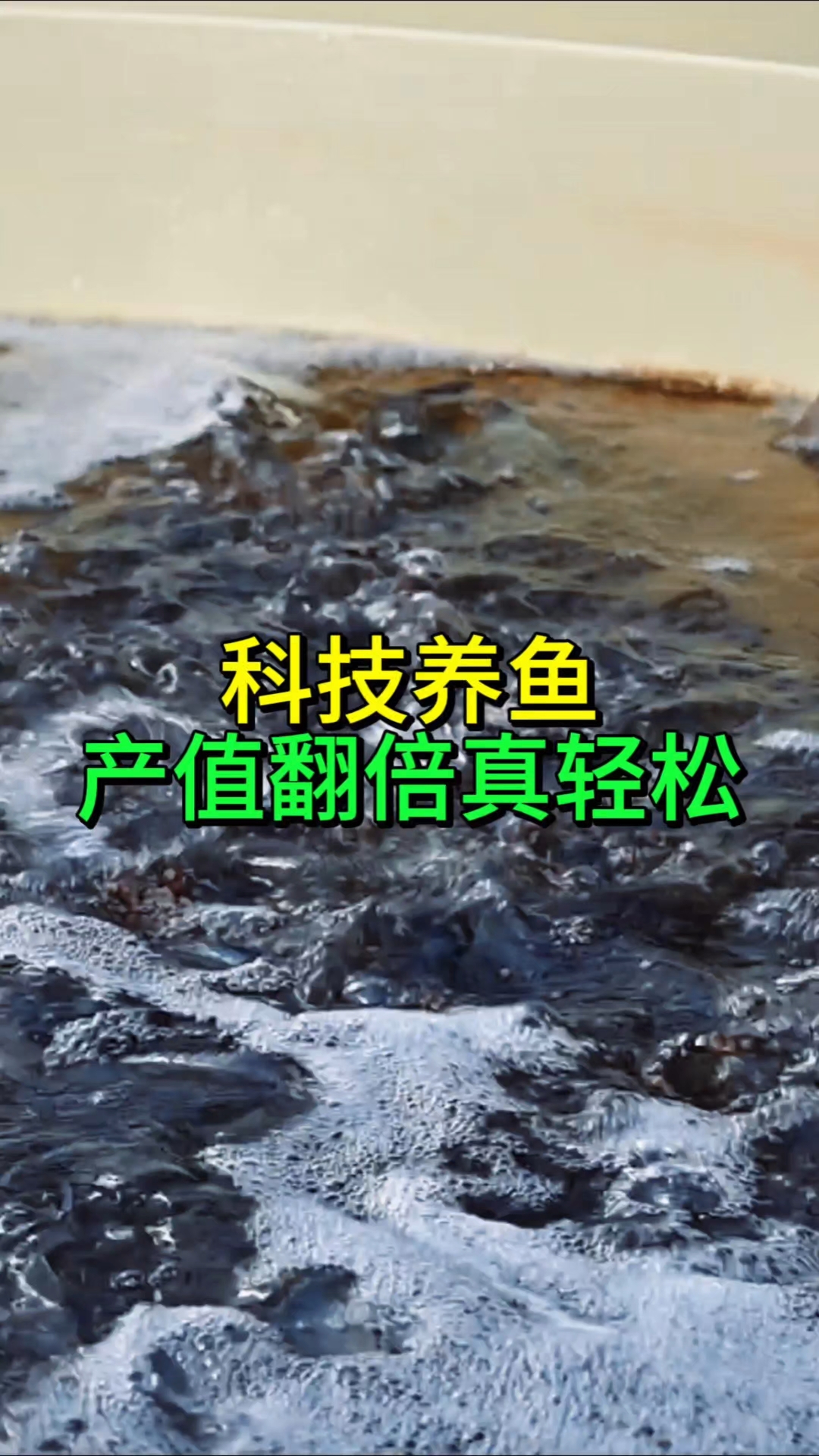 源渔宙智慧渔业分享陆基高位池高密度循环水圆桶养殖鱼池如何搭建