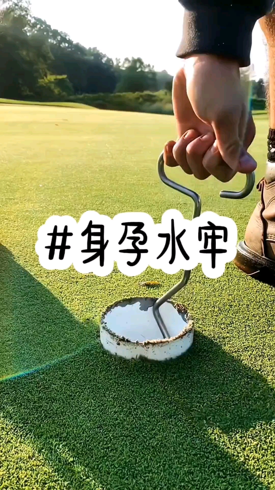 身孕水牢,怀孕三个月,老公出轨