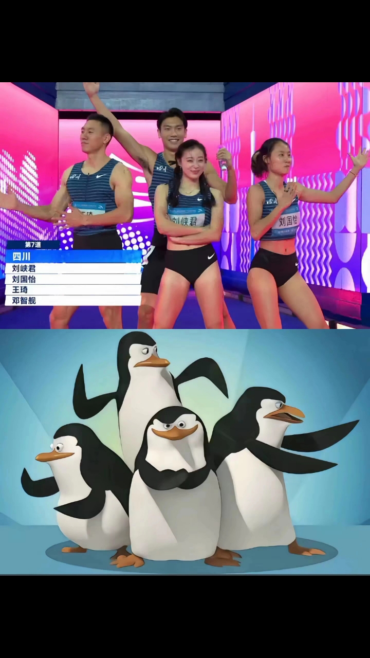 第十五届全运会现马达加斯加企鹅