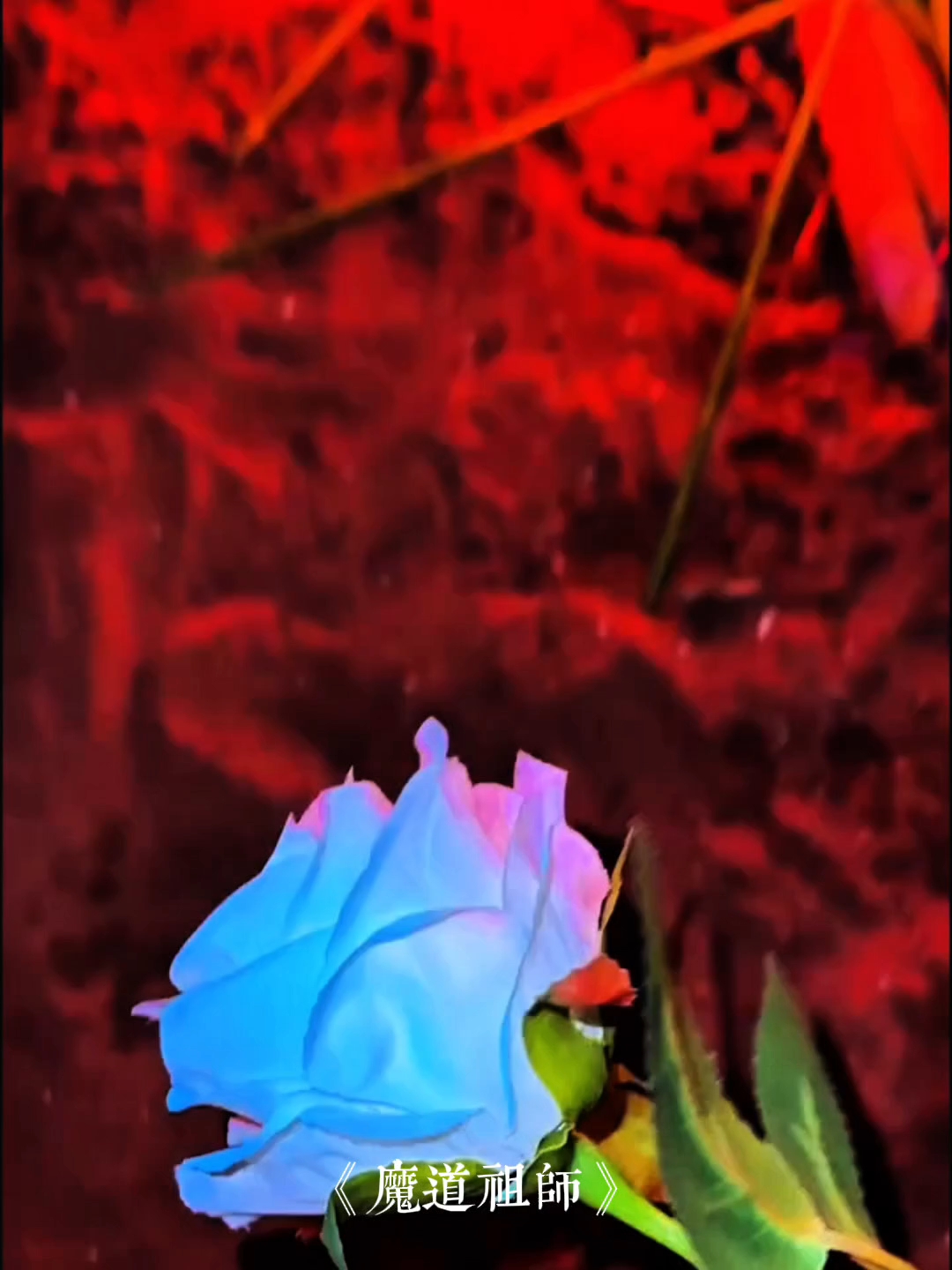 纯糖无刀#魔道祖师