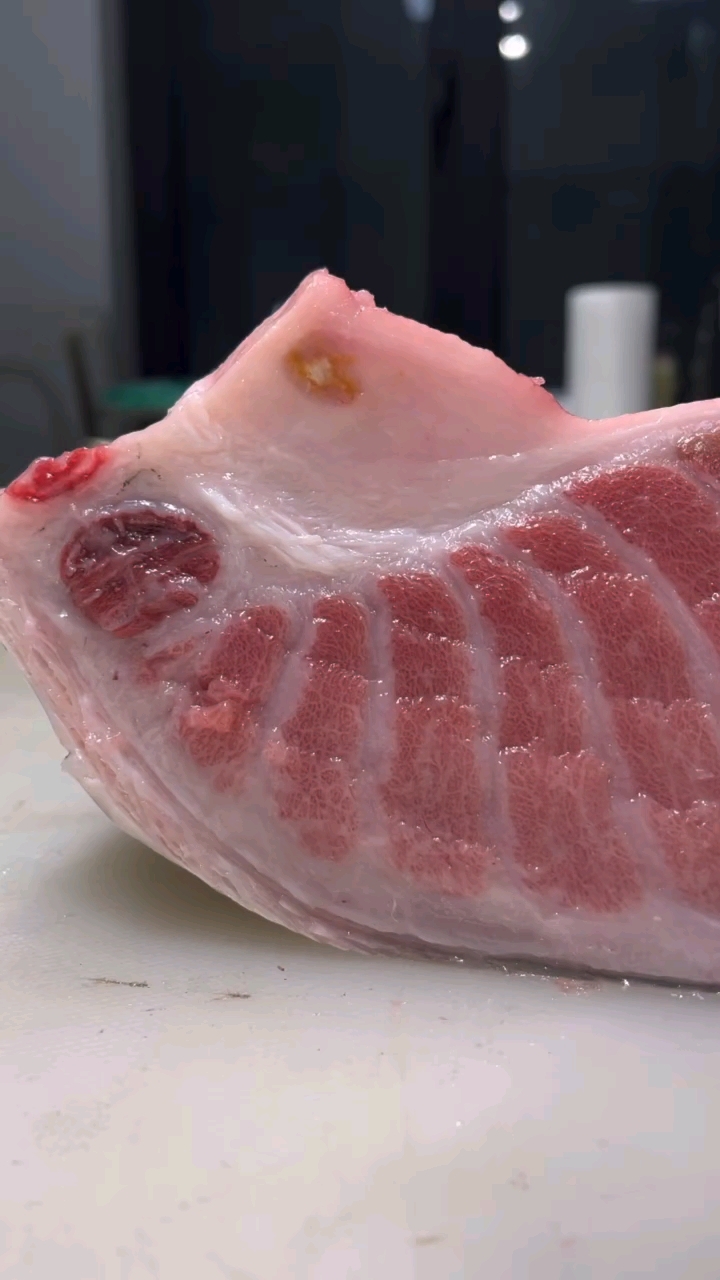 大蓝鳍金枪鱼大腹部分,看到有没有想吃的