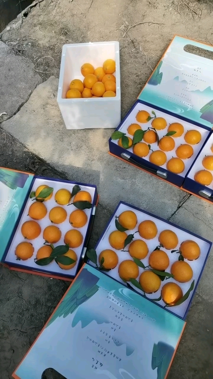 正宗象山红美人上市了