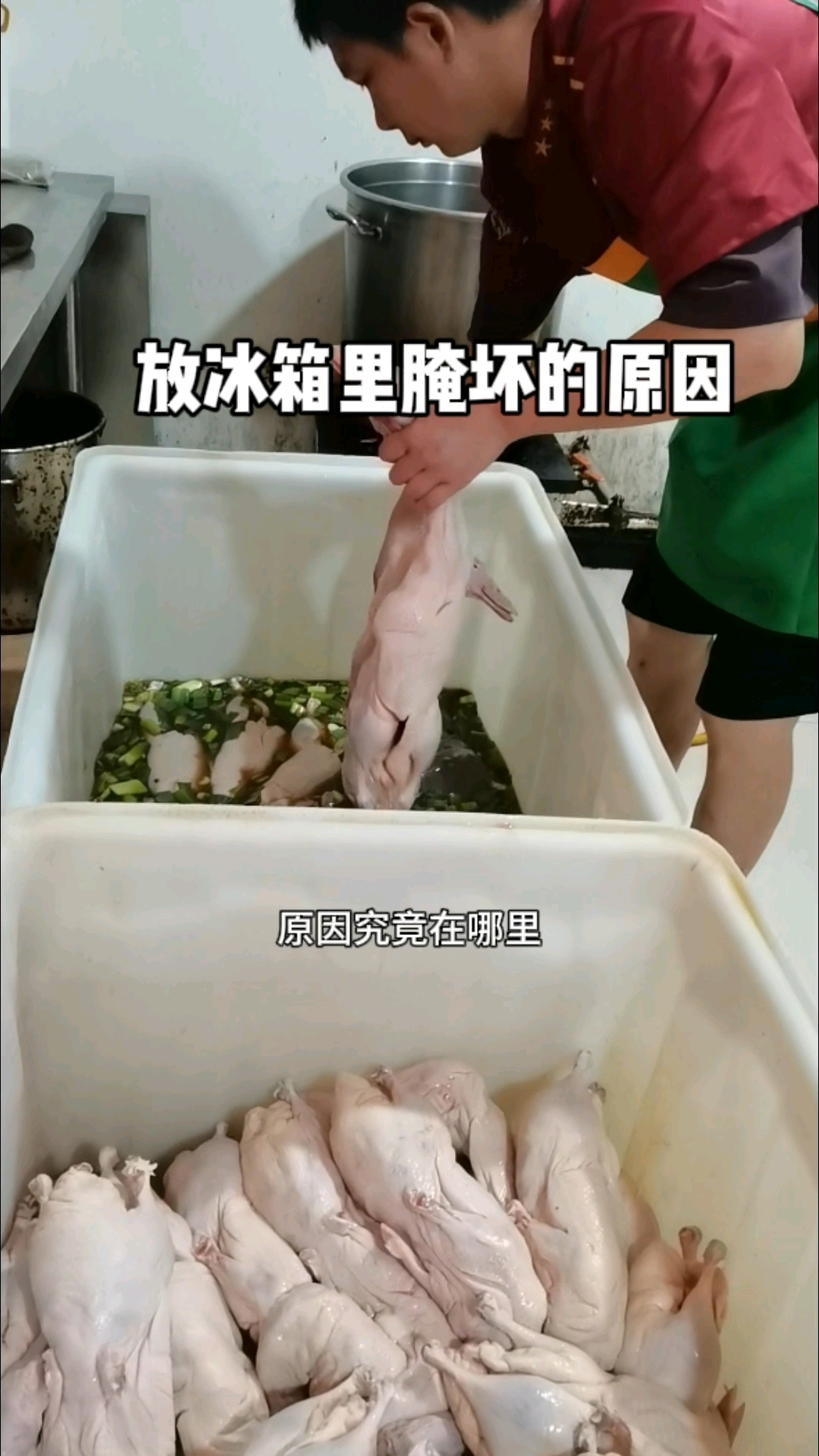 烤鸭腌制放冰箱里都会坏的真正原因,无私分享记得收藏。