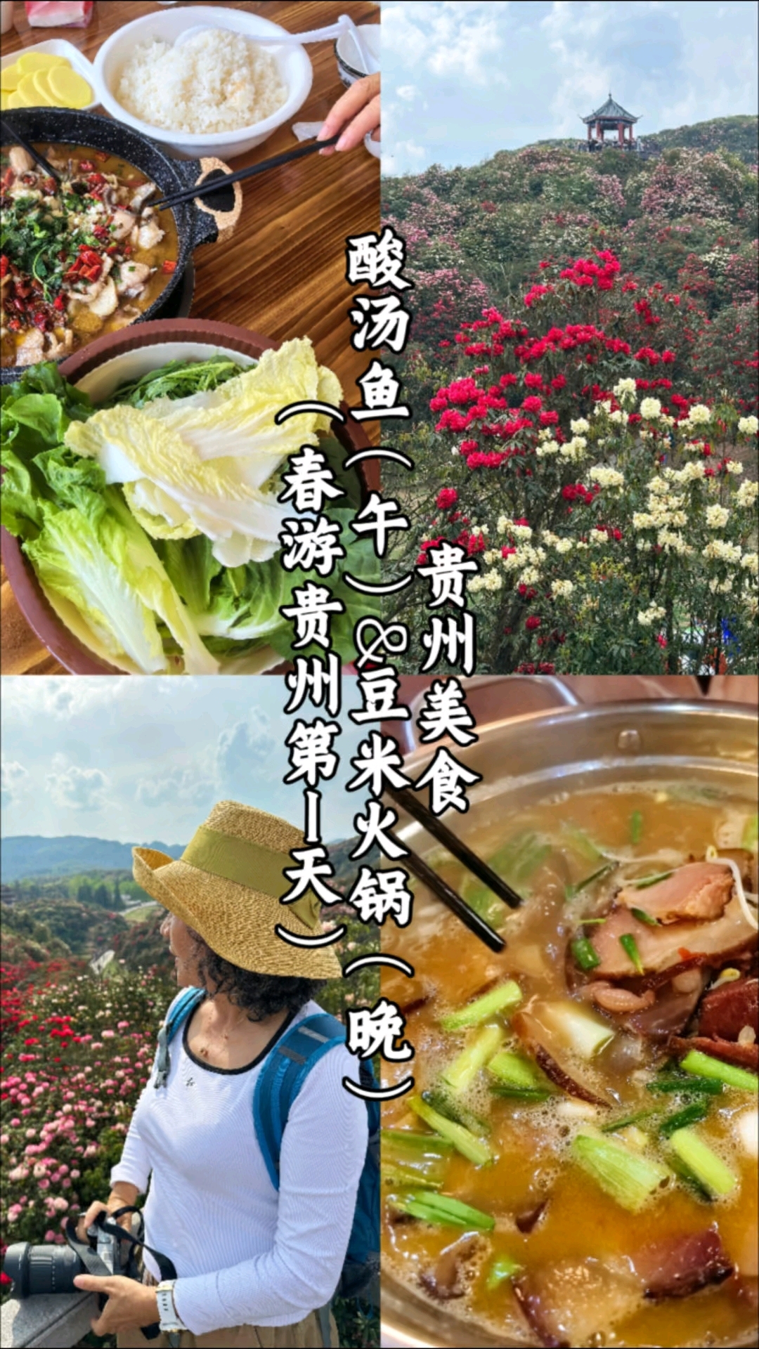 酸汤鱼(午餐)、豆米火锅(晚餐)春游贵州。