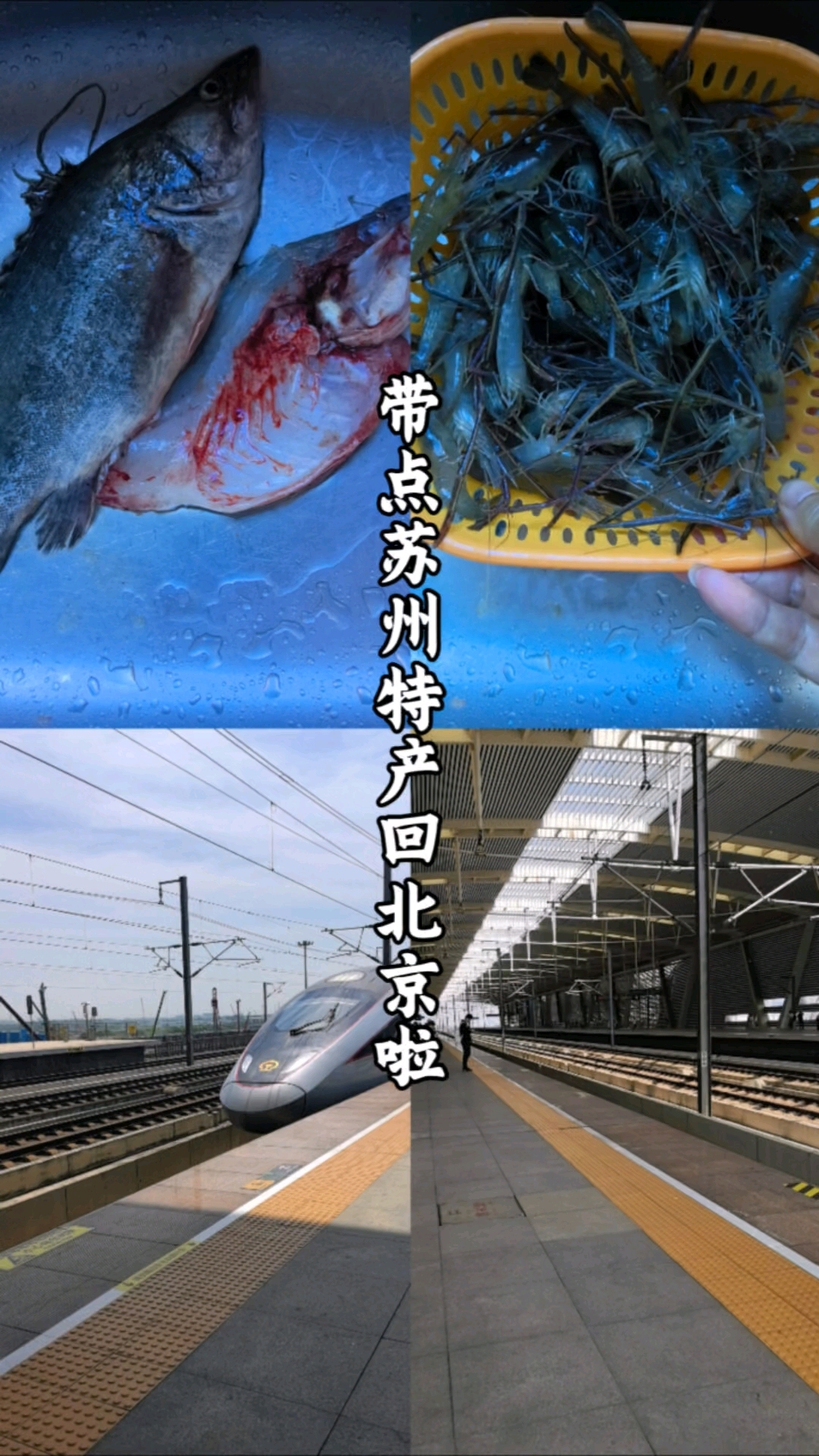 看看我带了什么苏州好吃的回北京啦！