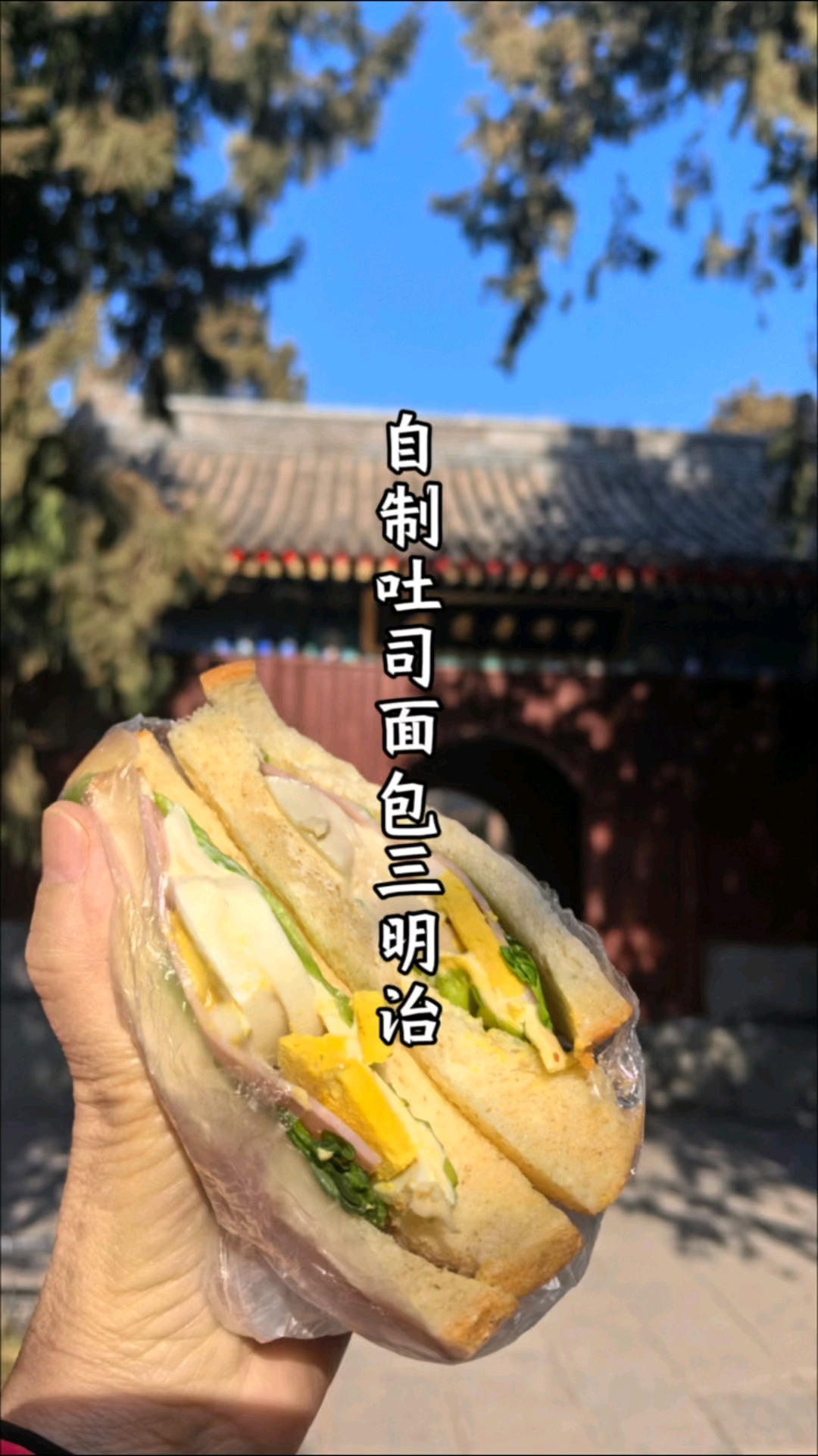 自制吐司面包&三明治,卫生放心,带上它去逛公园咯!