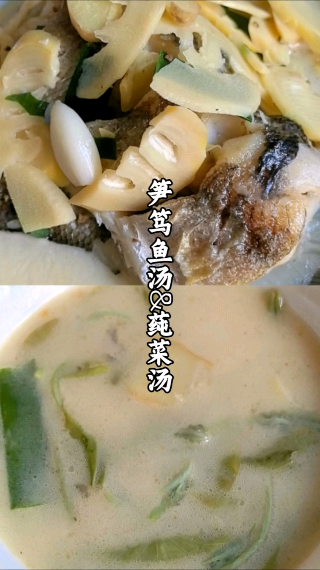 我家的春天这样吃!鱼汤莼菜鲜滑味美!