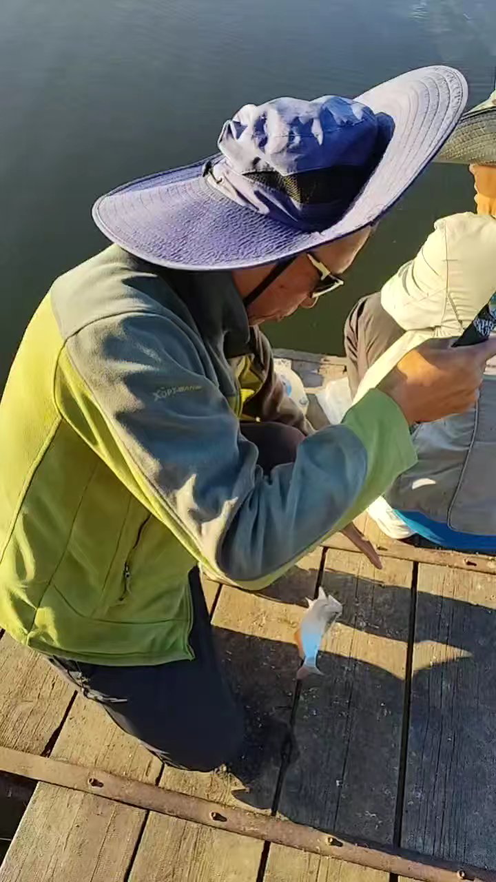 吊鱼景色好好好好