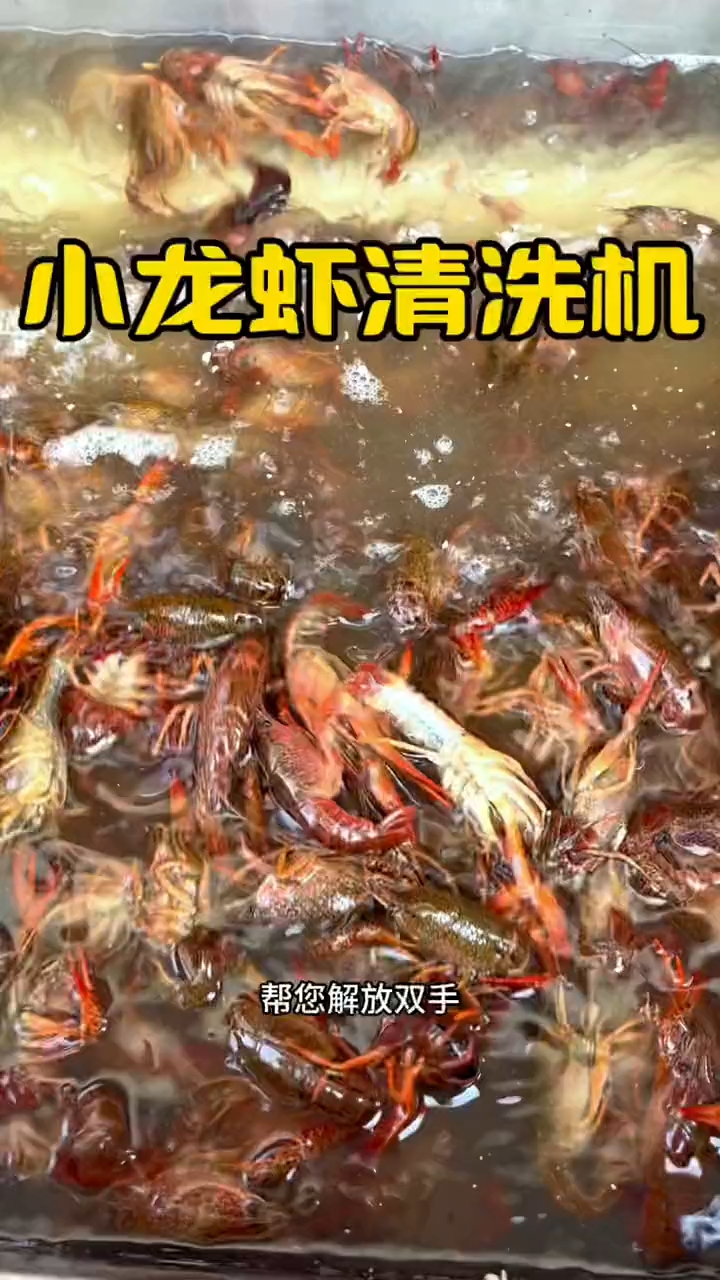 全自动小龙虾清洗机