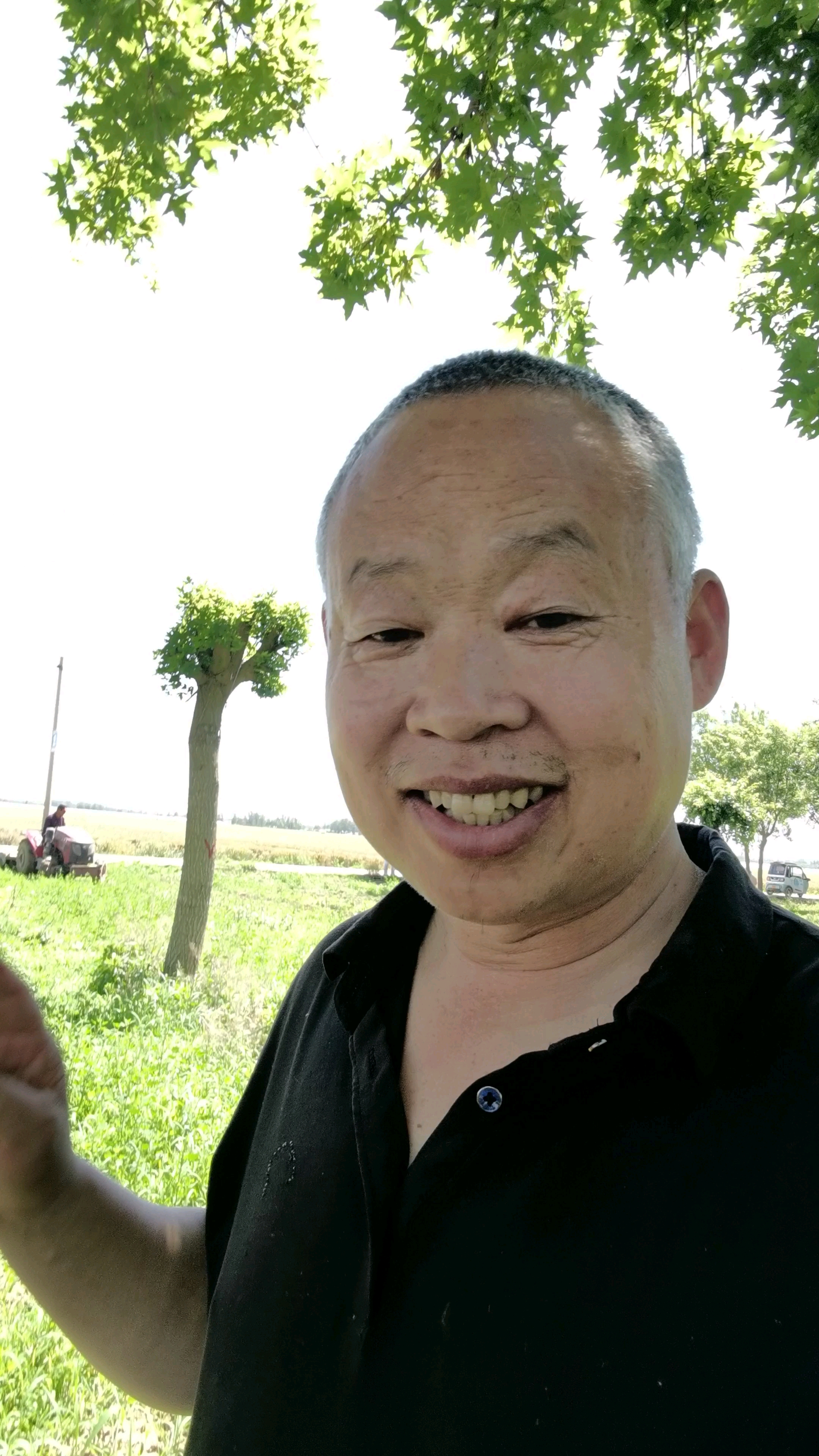 都说树下种不出香菜？半阴沙地45天挑战！今天旋耕机开干