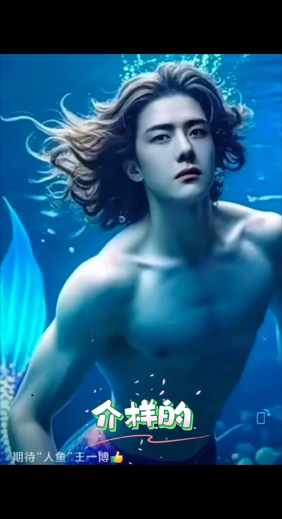 一博:你说句话啊！我要把他们豆沙了！#王一博#人鱼#表情包#