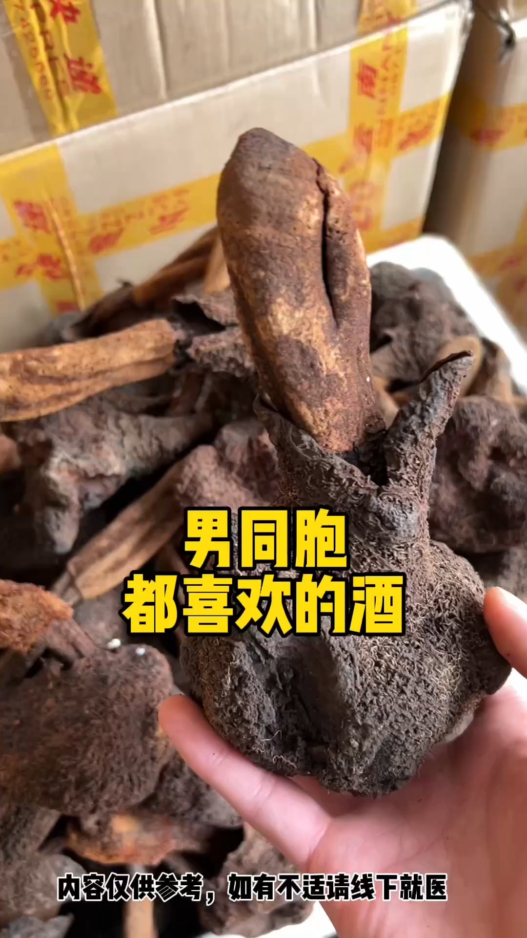 #泡酒好材料#滋补养生#中医补肾调理#补肾壮阳泡酒