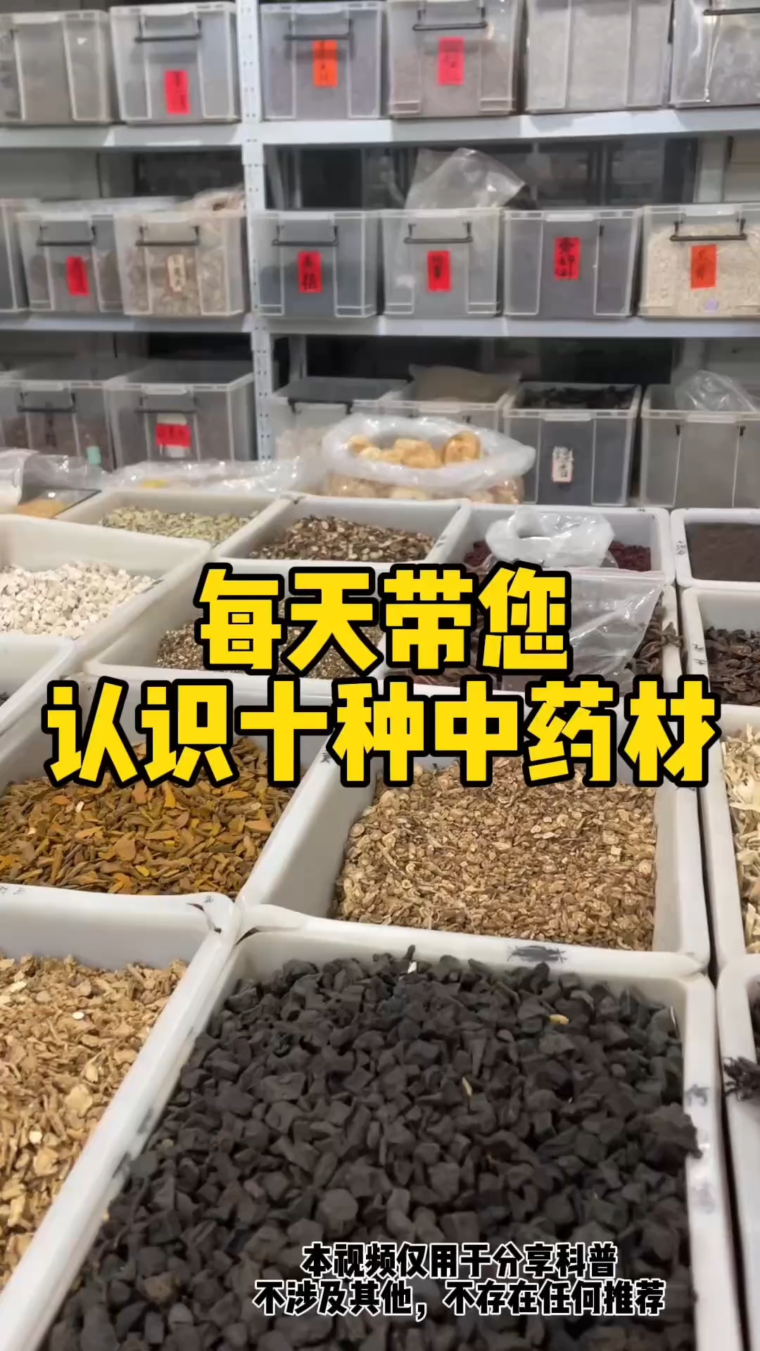 中药材#补肾中药材#中医养生#泡酒好材料#中医养生滋补